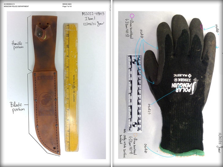 Archivos recientemente publicados revelan detalles forenses clave del caso Idaho 4