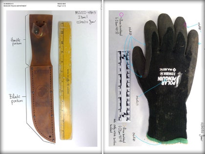 Newly Released Files Reveal Key Forensic Details in Idaho 4 Case 1