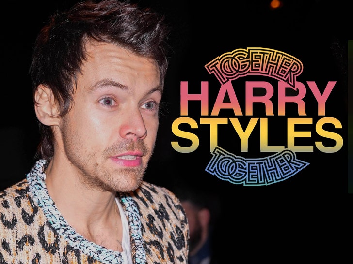 main Harry Styles Team Responds to Stage Complaints getty