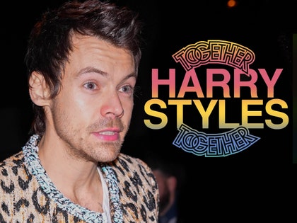 main Harry Styles Team Responds to Stage Complaints getty