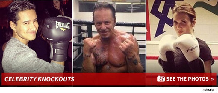 Celebrity Knockouts -- The Power Punching Pack