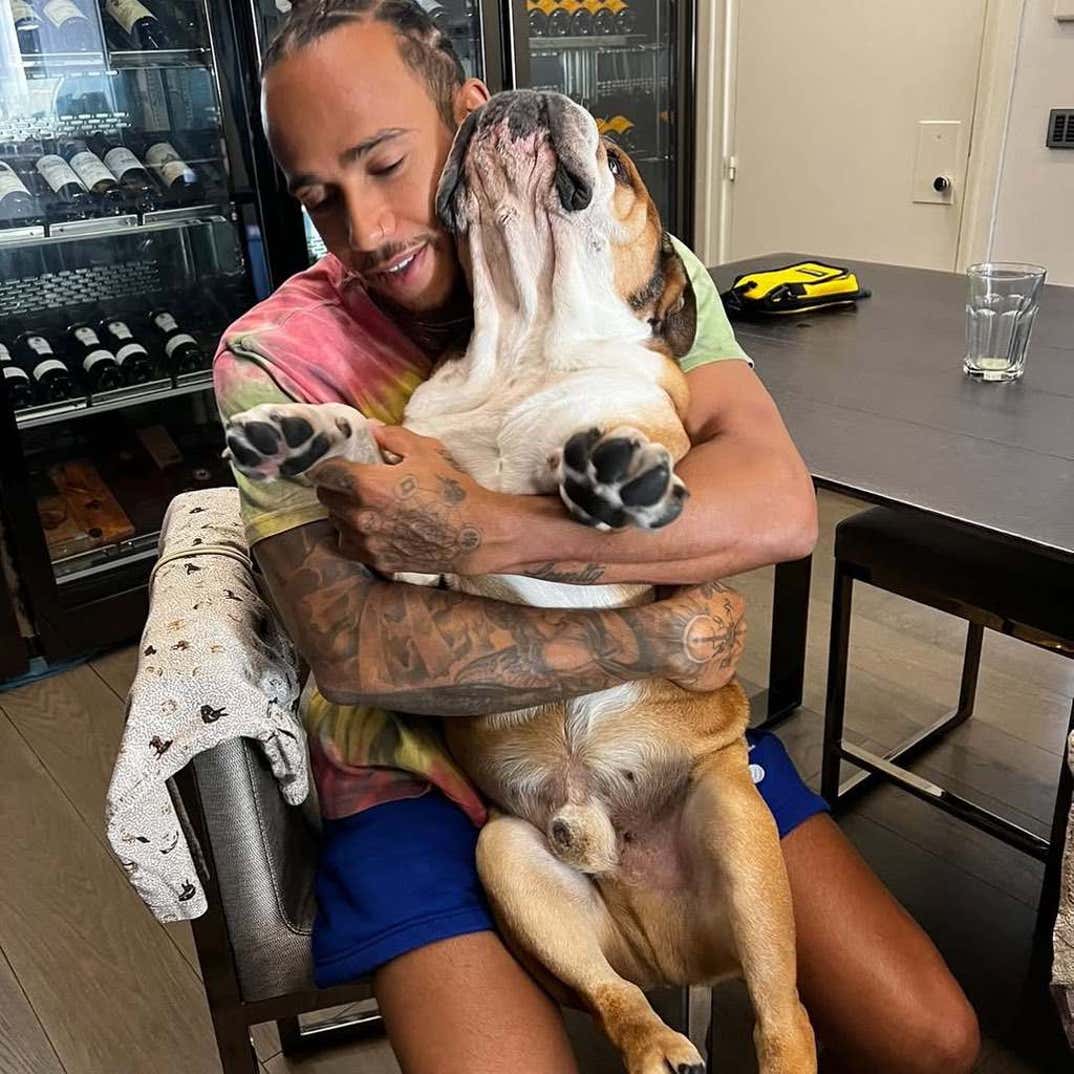 Lewis Hamilton And His Dog Roscoe 4