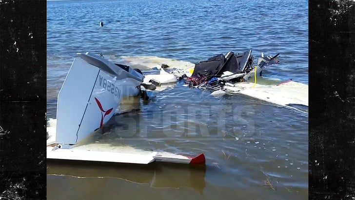 Video Video shows moments before Roy Halladay plane crash - ABC News