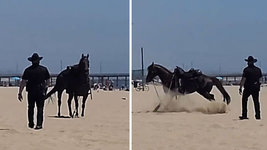 052420_horse_kal