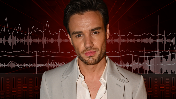 Liam Payne 911 Audio Call Template