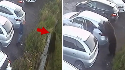 092625_man_escapes_bear_kal