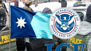 minnesota ice main getty