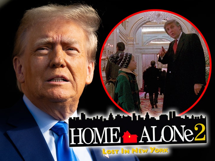 donald trump home alone