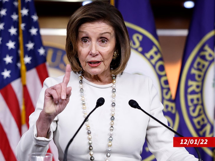 nanci pelosi congress