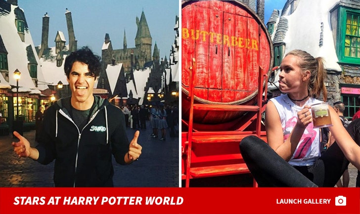 Stars At The Wizarding World of Harry Potter
