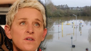 ellen degeneres flooding home gettty shutterstock composite