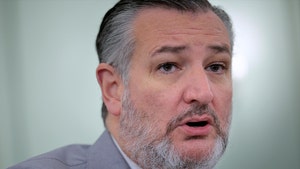 Ted Cruz is seen while speaking. He's wearing a gray jacket, a white shirt and a purple tie.
