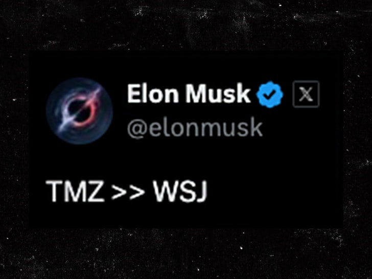 Elon Musk Tweet x TMZ Sub