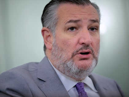 Ted Cruz is seen while speaking. He's wearing a gray jacket, a white shirt and a purple tie.