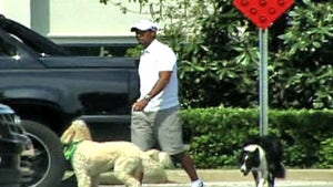 Tiger Woods -- Off The Leash!