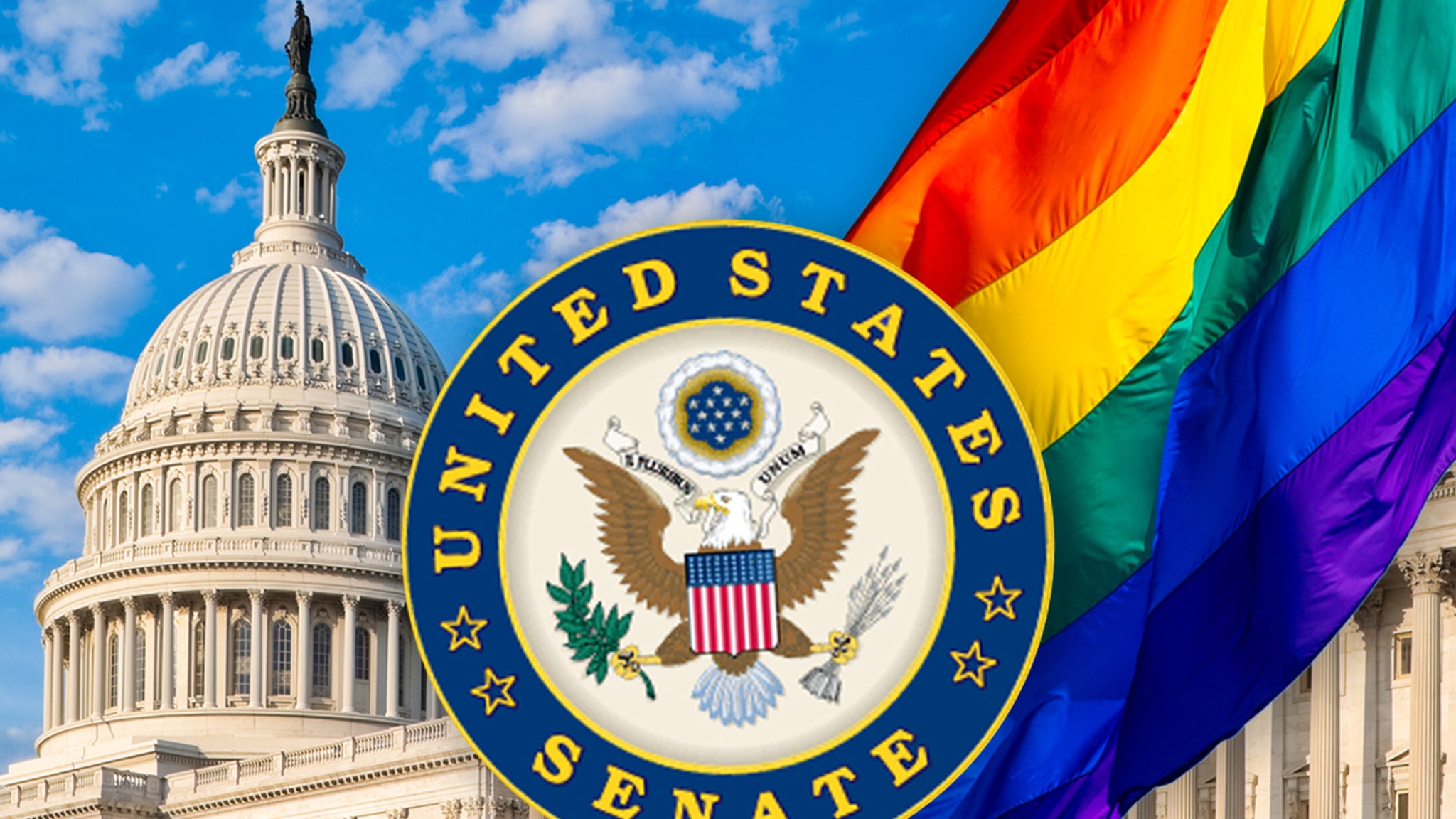 Same-Sex Marriage Bill Passes Senate with Huge Republican Support