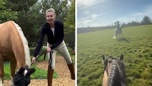 082325_ellen_degeneres_primary