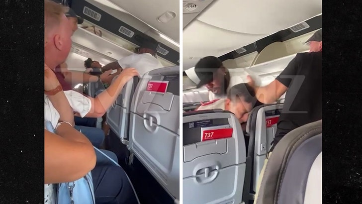 American-Airlines-Brawl-Kal-08-25-2025
