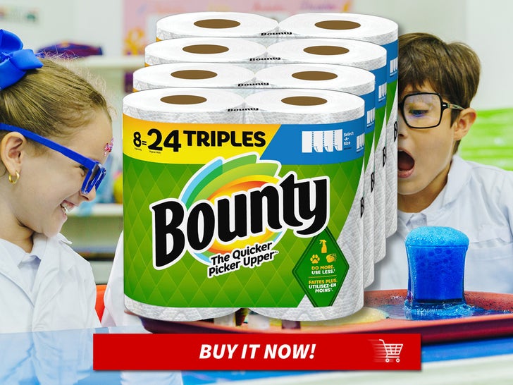 Bounty-Select-A-Size-Paper-Towels-MAIN