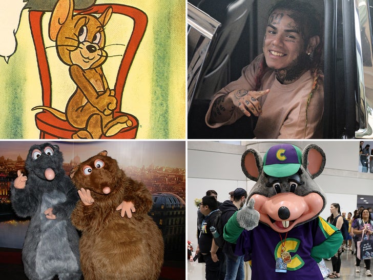 Hollywood's Famous Rats