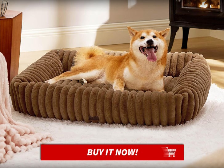 Bedsure-Cute-Dog-Bed-National-Dog-Day-Deals-MAIN