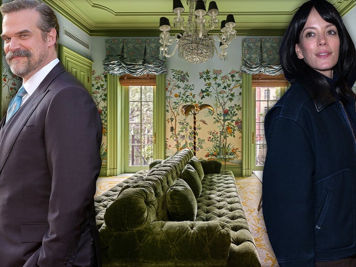 Lily Allen And David Harbour Selling NYC Home