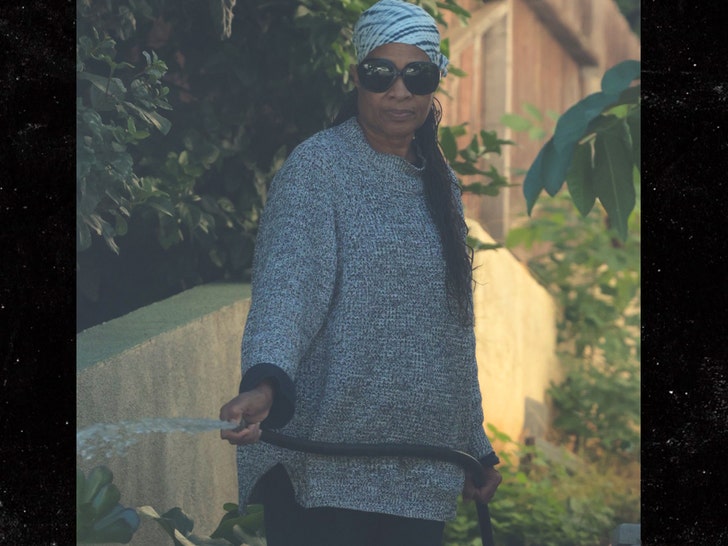 stevie wonder's ex Backgrid-Carmen Efferson 2