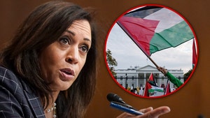 kamala harris palestine flag