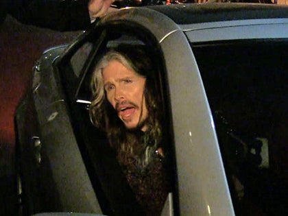 031514_steven_tyler_primary