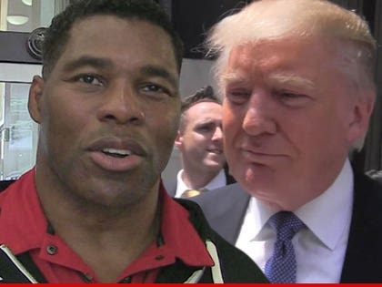 0814-herschel-walker-donald-trump-TMZ-01