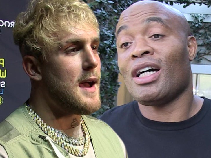 jake paul anderson silva