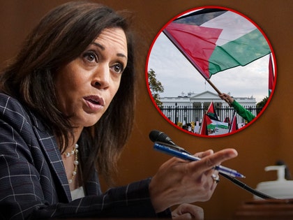 kamala harris palestine flag