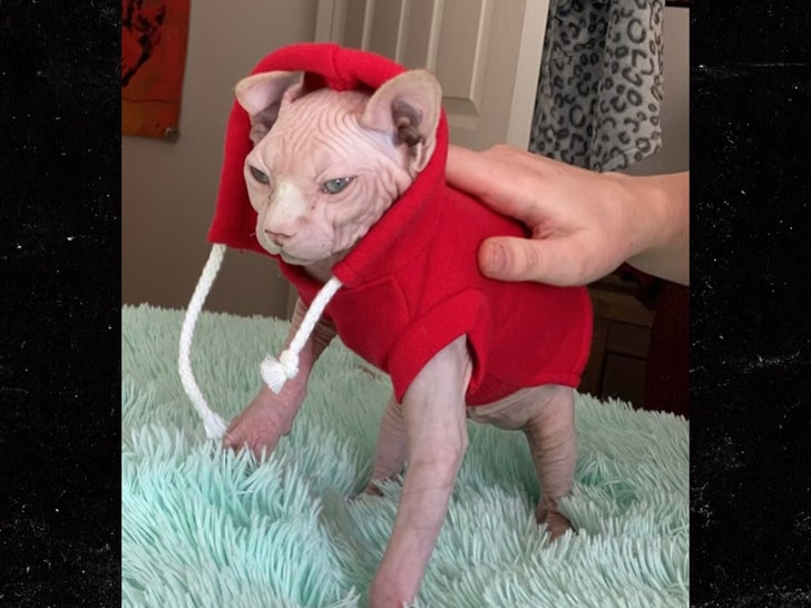 Jacob-Novel-Cat-Ig-4