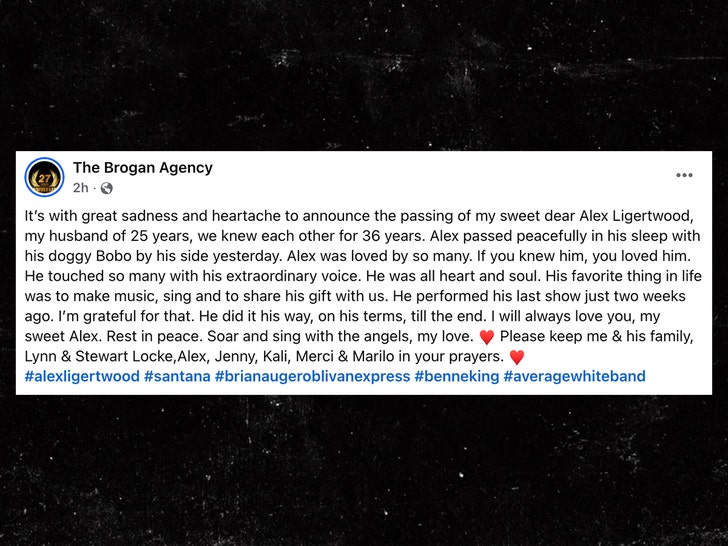 sub-Alex-Ligertwood-brogan-agency-fb-1