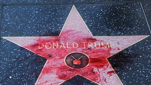 Donald Trump's Hollywood Walk of Fame Star Doused with Fake Blood, After Swastikas