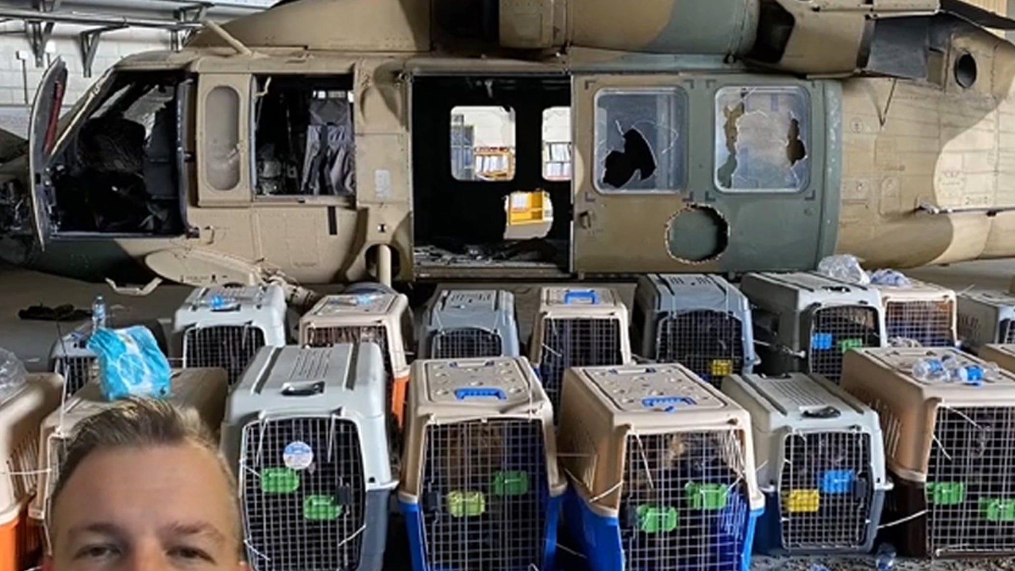 Nonprofit Pleads for Help in Evacuating Military Dogs Left in Kabul