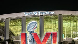 Woman Sues SoFi Stadium Over Alleged Life-Altering Injuries At Super Bowl