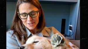 jennifer garner and dog