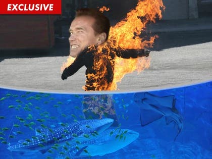 1123-arnold-stuntman-EX