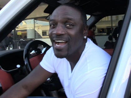 010614_akon_primary