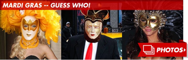 viva la bam mardi gras wattpad