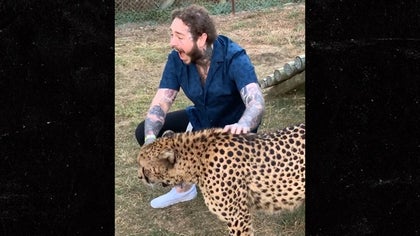 061919_post_malone_kal