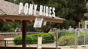 L.A.'s Griffith Park Pony Rides Shutting Down, Owner Blames Activists