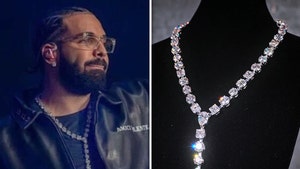 Drake Gets Necklace with 42 Engagement Ring Diamonds for Times He Wanted To Propose