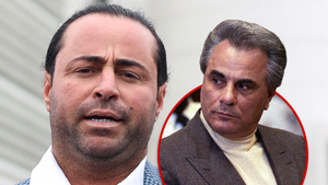main carmine gotti agnello john gotti getty