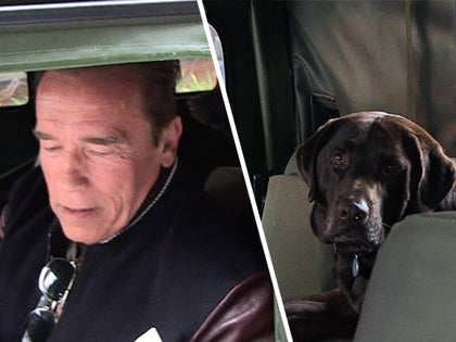 111214_tv_arnold_dog_primary