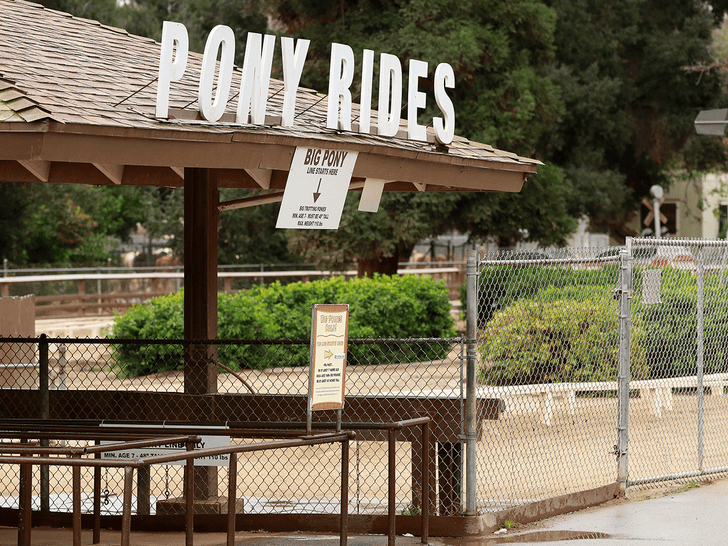 L.A.’s Griffith Park Pony Rides Shutting Down, Owner Blames Activists