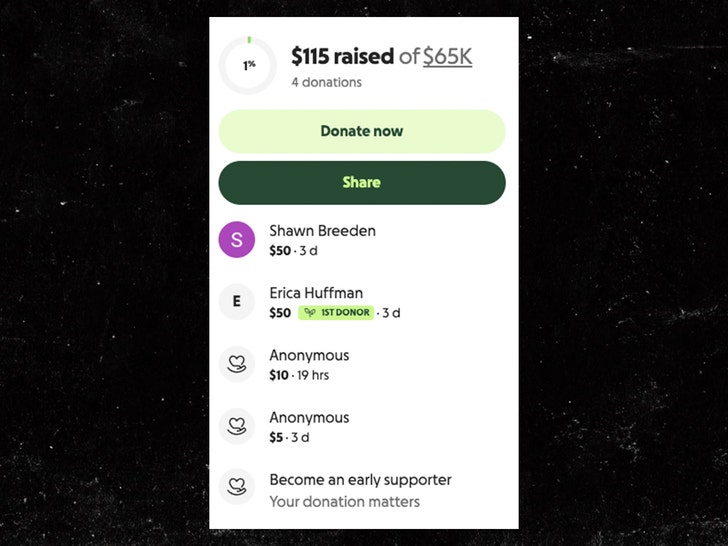 Nancy Guthrie Gofundme 1