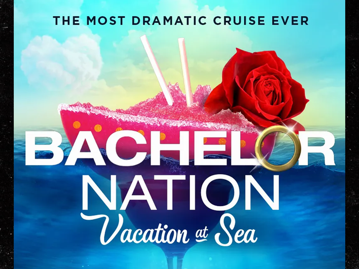 vacanza da scapolo al mare sub bachelornationvacationatsea.com