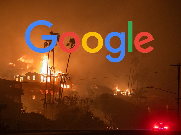 palisades fire google getty